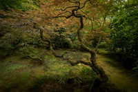 Portland Japanese Garden, Portland, OR
