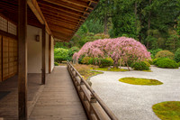 Portland Japanese Garden, Portland, OR