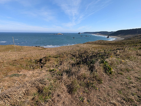 Cape Blanco