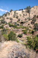 Berryessa