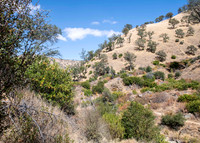Berryessa