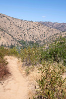 Berryessa