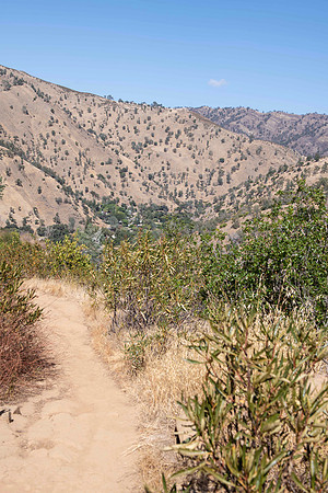 Berryessa