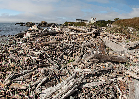 Bandon
