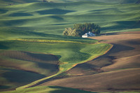 _DSC0017