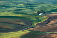 _DSC9967
