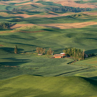 _DSC0009-2