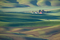 _DSC0019