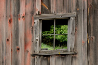 _DSC5374