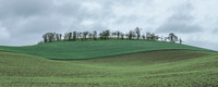 _DSC5451_Pano_ratio2.5