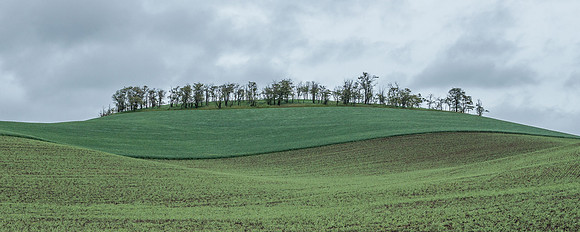 _DSC5451_Pano_ratio2.5