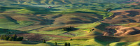Palouse_Panorama1F_Texture_ratio3.0