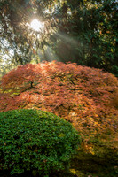 Portland Japanese Garden, Portland, OR