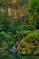 Portland Japanese Garden, Portland, OR